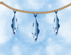 Drei gemalte Makrelen hängen kopfüber von einer Leine. Im Hintergrund ist ein Himmel in Aquarell.