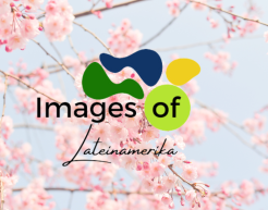Logo von Images Of –Lateinamerika. Im Hintergrund ist ein blühender Kirschbaum.