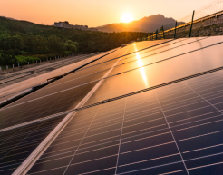 Solaranlagen. Im Hintergrund der Sonnenuntergang und grüne Bäume.