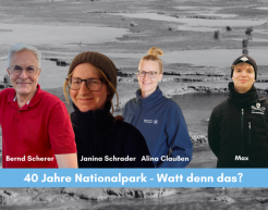 Cover der Folge "40 Jahre Nationalpark – Watt denn das?" vom Ocean Five Podcast. Abgebildet sind der Host Max Nettlau sowie die interviewten Personen.