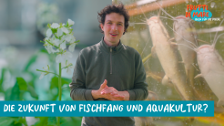 Still aus der YouTube Wissensserie frutti di mare. Der Host Elias steht mittig, hinter ihm ist eine Unterwasserwelt, unten steht: Die Zukunft von Fischfang und Aquakultur?