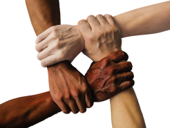 Vier Hände unterschiedlicher Hautfarbe fassen sich an.