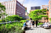 Die Highline in New York. Eine ehemalige Bahnstrecke, die mit Pflanzen bewachsen ist.